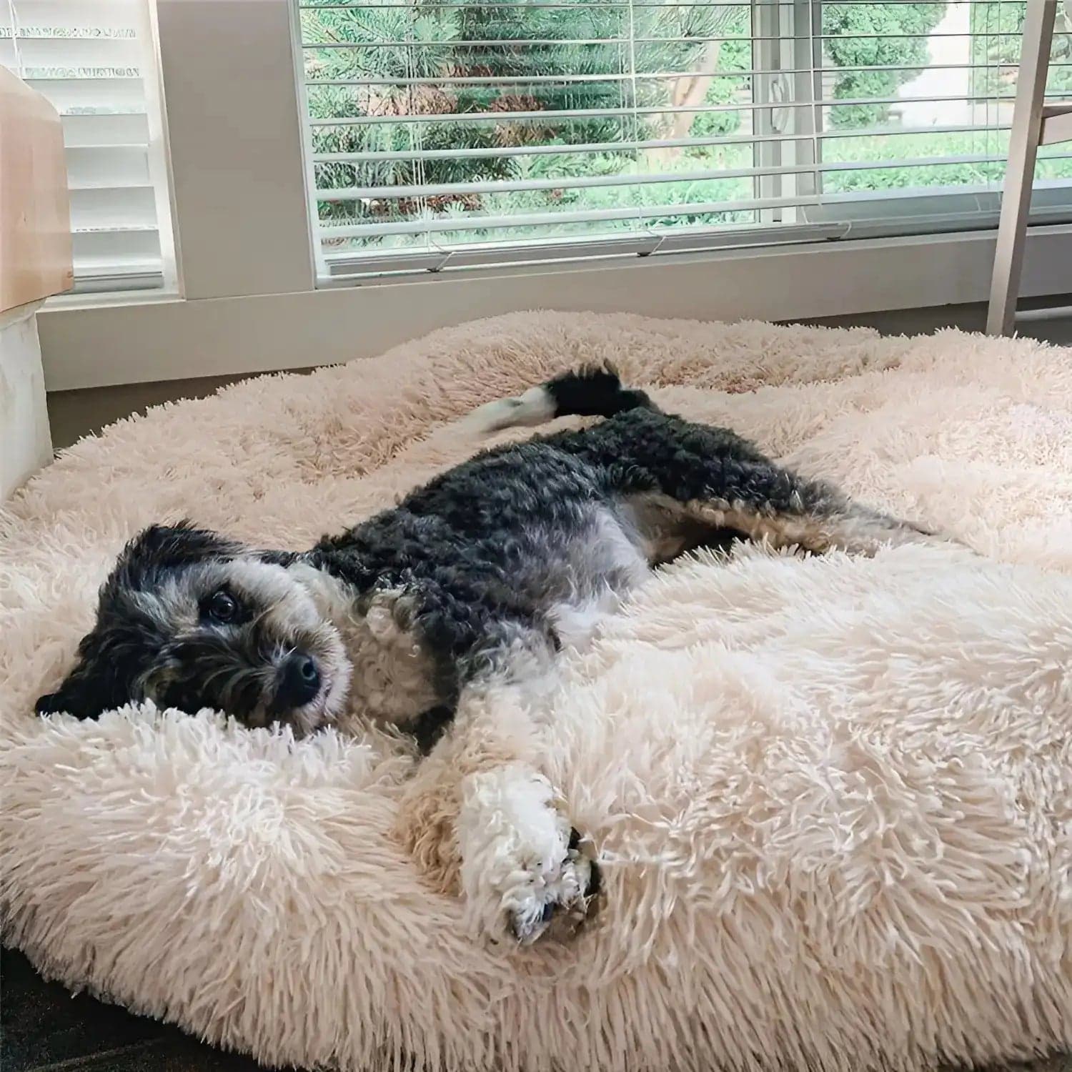 MrFluffyFriend® - Panier Chien Anti-Stress
